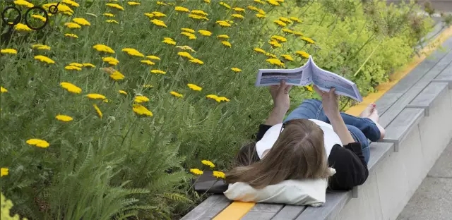 校園廣場案例:皇家墨爾本理工大學大草坪