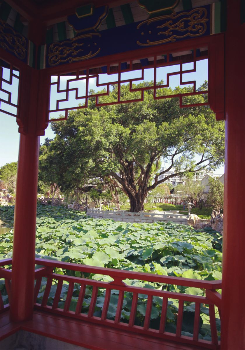 2016園冶杯專業獎參賽項目：福州南公園景觀工程設計