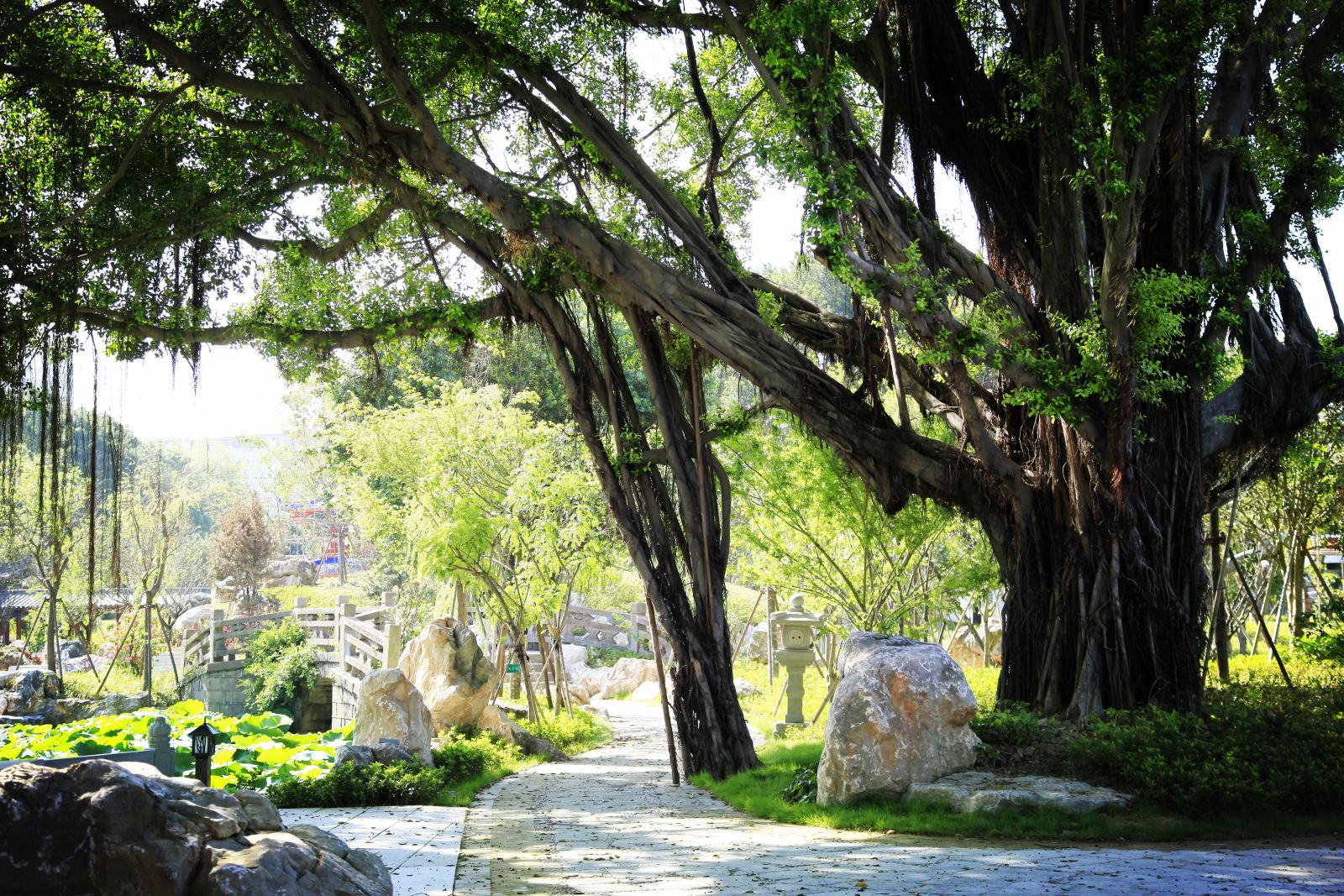 2016園冶杯專業(yè)獎參賽項目：福州南公園景觀工程設計