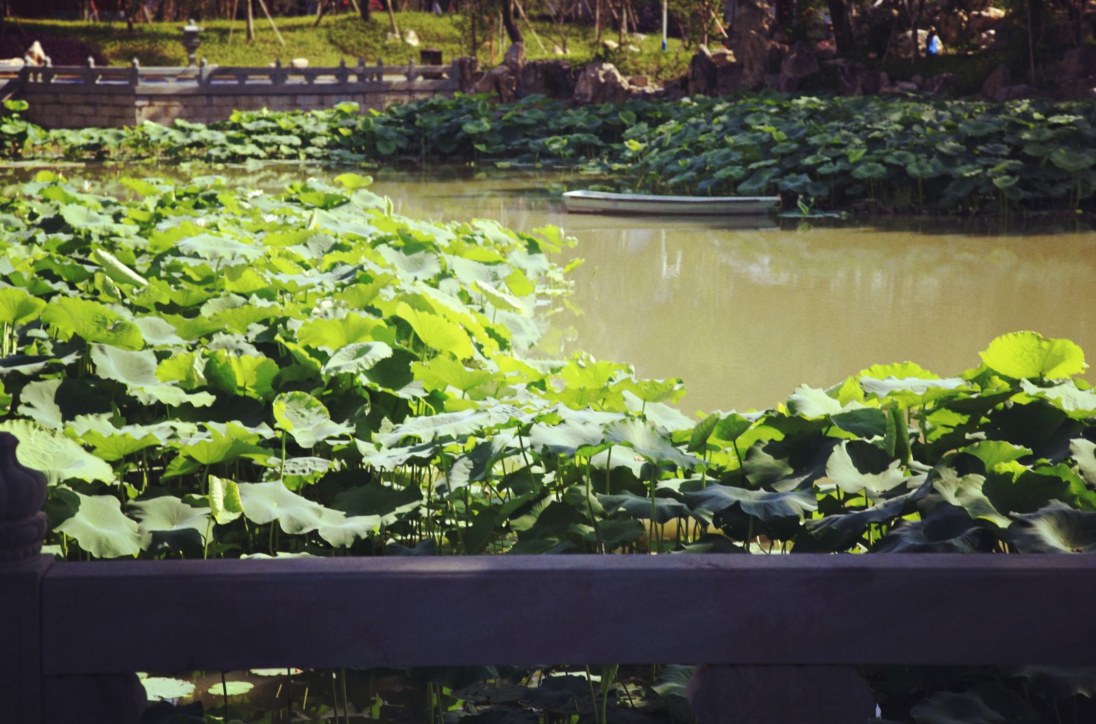 2016園冶杯專業獎參賽項目：福州南公園景觀工程設計