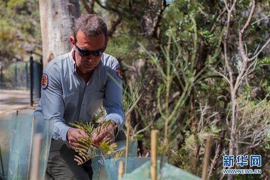 澳大利亞國(guó)家公園法制管理細(xì)分責(zé)