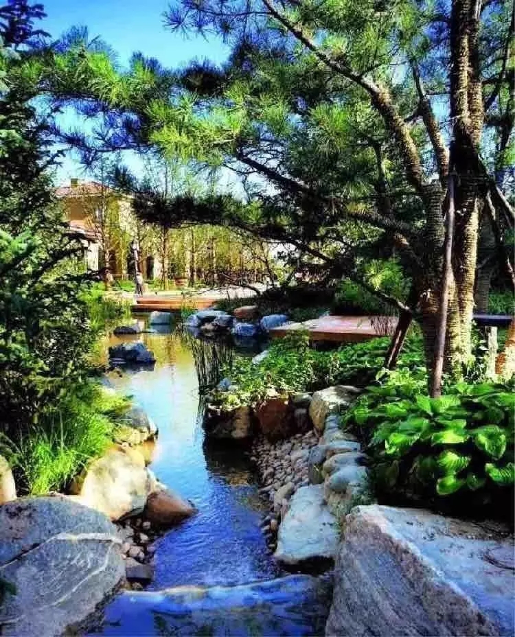 小水面的植物配置圖片集錦