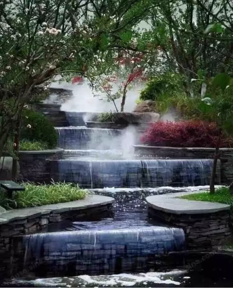 小水面的植物配置圖片集錦