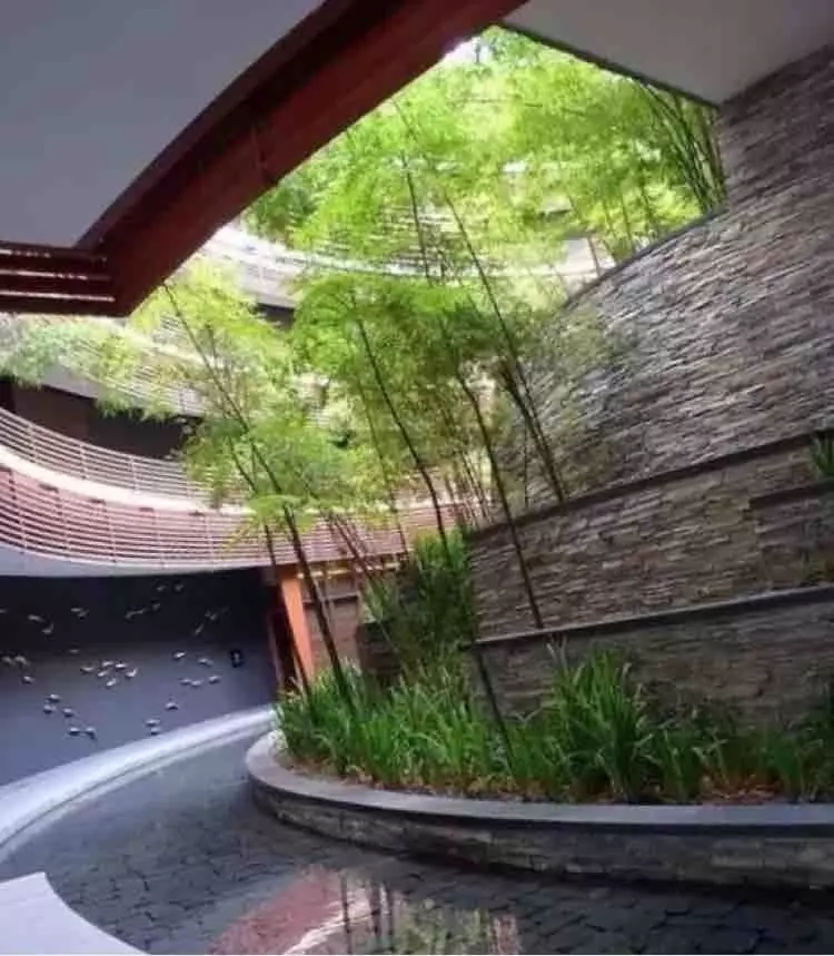 小水面的植物配置圖片集錦