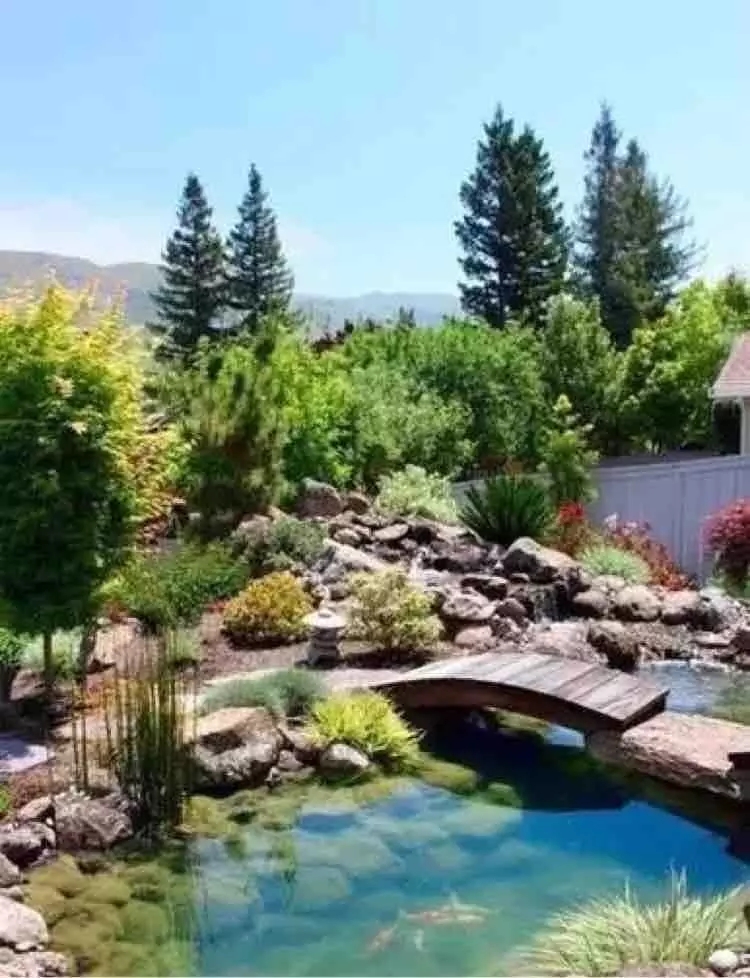 小水面的植物配置圖片集錦