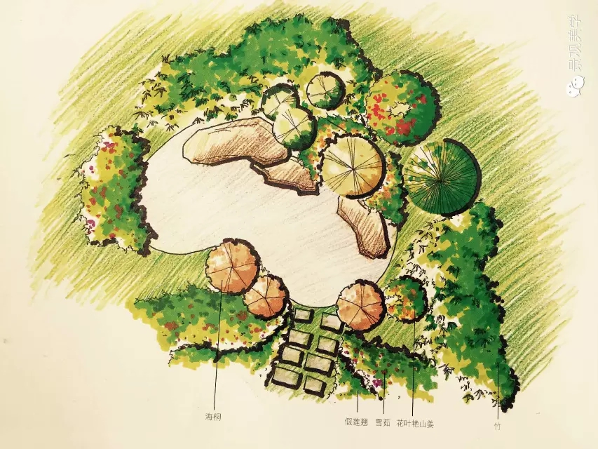 快速設(shè)計植物設(shè)置