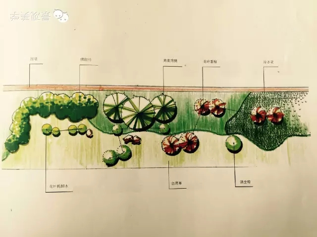 快速設(shè)計植物設(shè)置