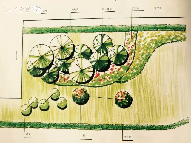 快速設(shè)計植物設(shè)置