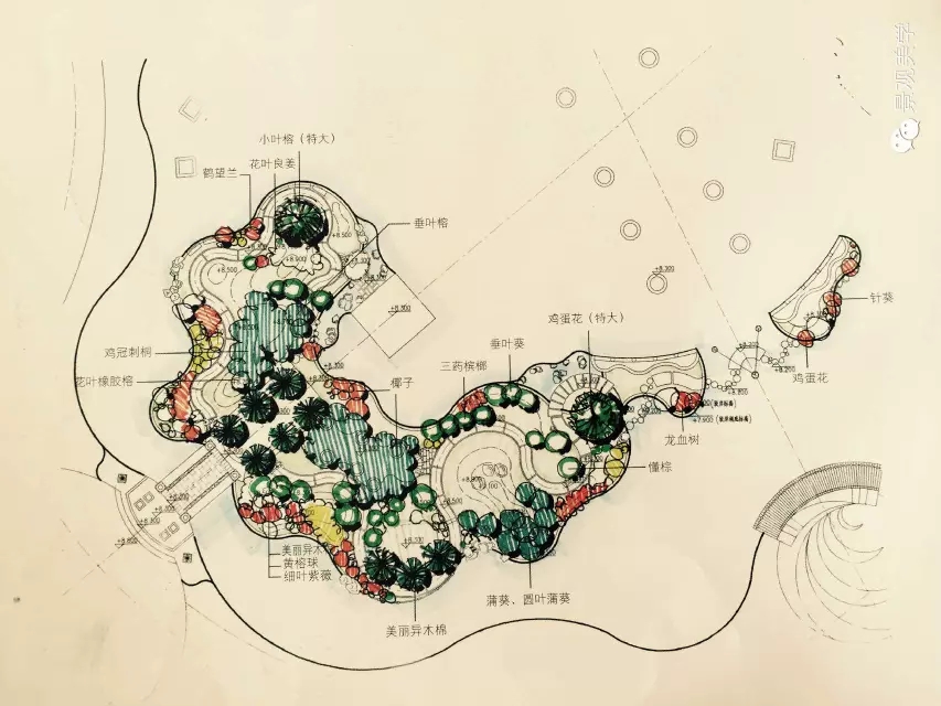 快速設(shè)計植物設(shè)置
