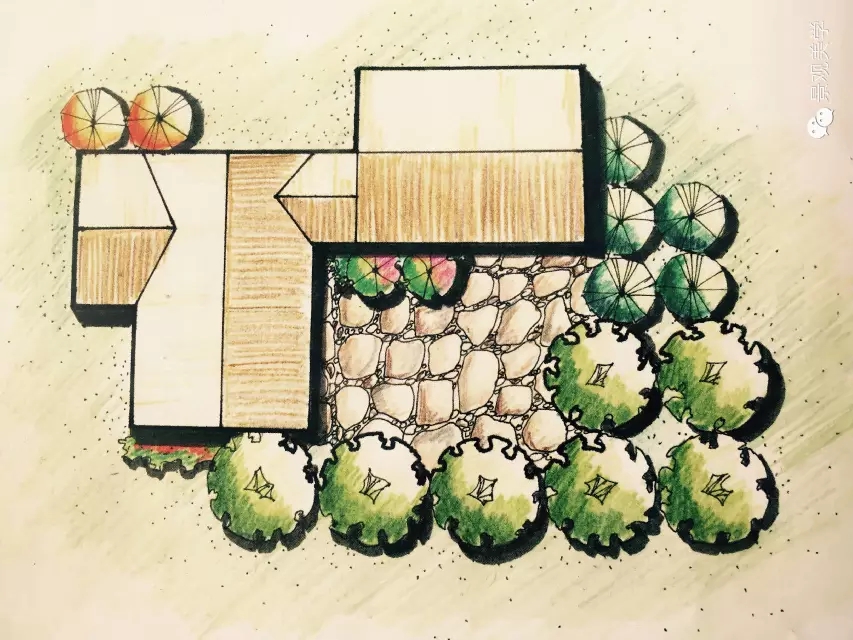 快速設計植物設置