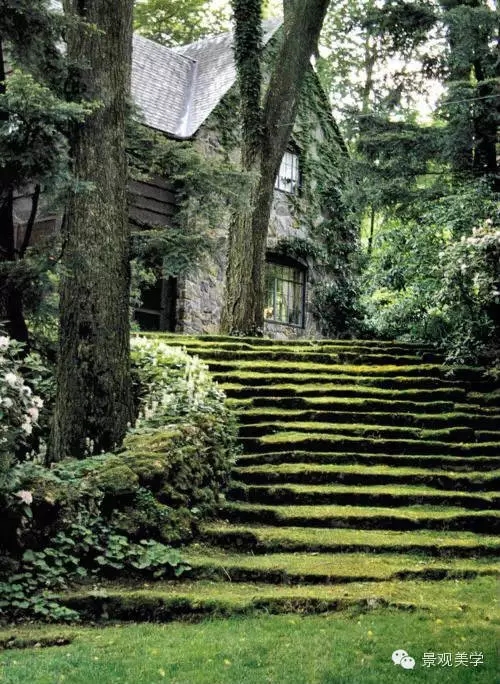 用不同景觀臺階的形態表達不同的景觀概念