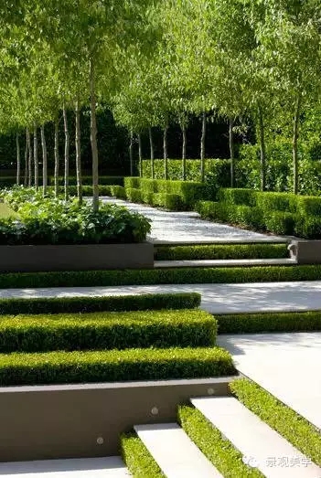 用不同景觀臺階的形態表達不同的景觀概念