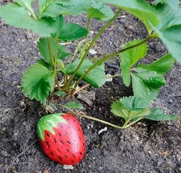 鄉(xiāng)村景觀設(shè)計:創(chuàng)意彩繪石頭