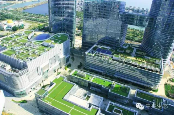 中卉生態容器種植技術項目進入全國建設行業科技成果推廣項目