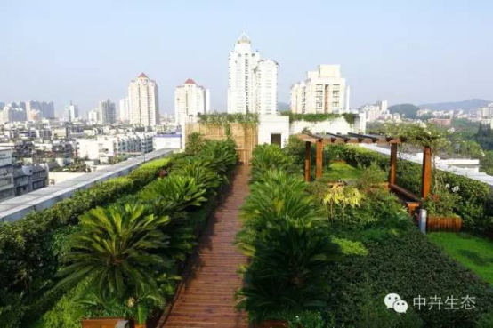 中卉生態容器種植技術項目進入全國建設行業科技成果推廣項目