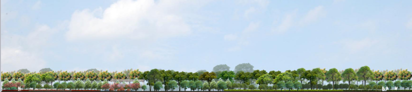 2016園冶杯專業(yè)獎(jiǎng)參賽項(xiàng)目: 懷遠(yuǎn)縣S307道路園林景觀工程設(shè)計(jì)