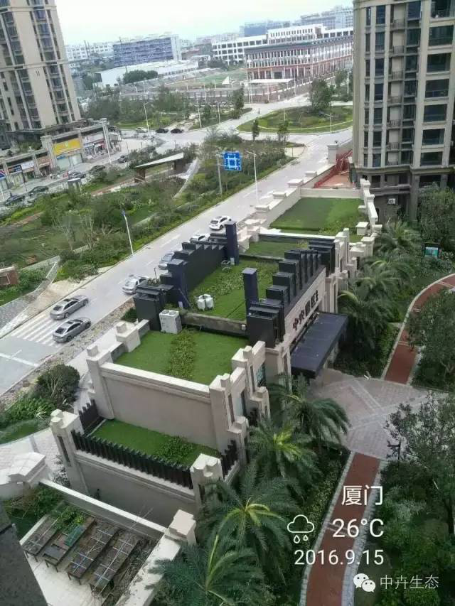 中卉國標產品成功抵御“莫蘭蒂”