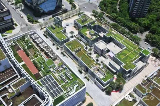 中卉國標產品成功抵御“莫蘭蒂”