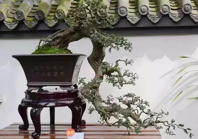 新中式設計必備：100個絕美中國符號·新中式元素