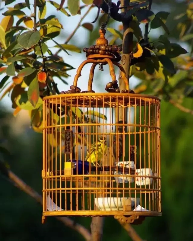 新中式設(shè)計必備:100個絕美中國符號·新中式元素(下)