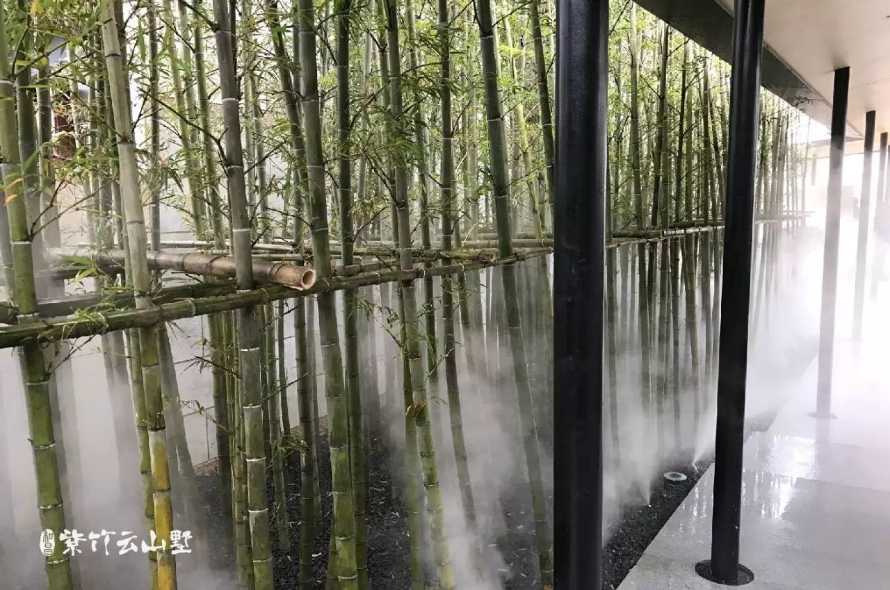 一場冷艷的園林音樂會(huì)