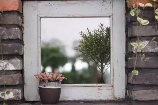 3位女大學生樂當種花匠 坎墩后花園打造“花樣年華