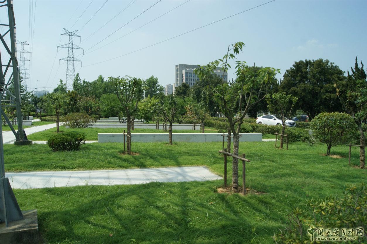 2016園冶杯參賽項目:安徽警官職業學院校園綠化工程