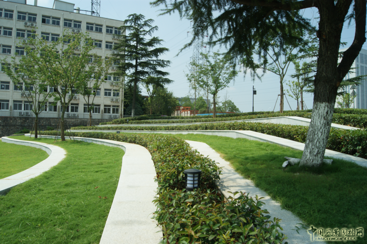 2016園冶杯參賽項目:安徽警官職業學院校園綠化工程