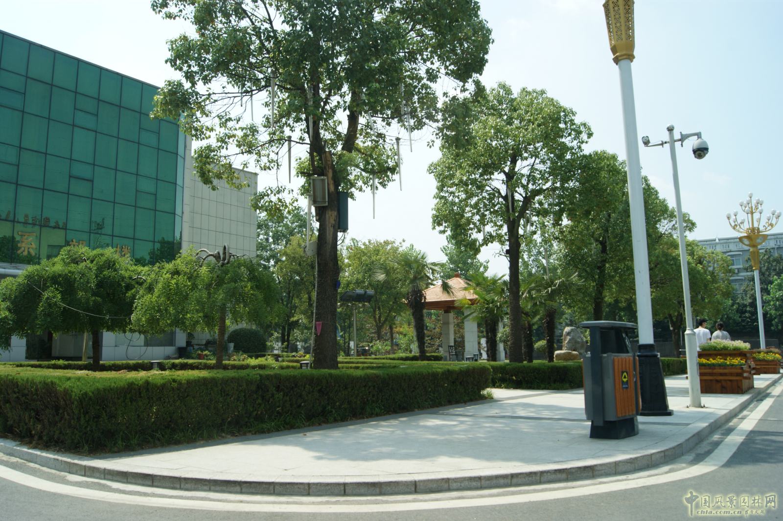 2016園冶杯參賽項目:安徽警官職業學院校園綠化工程