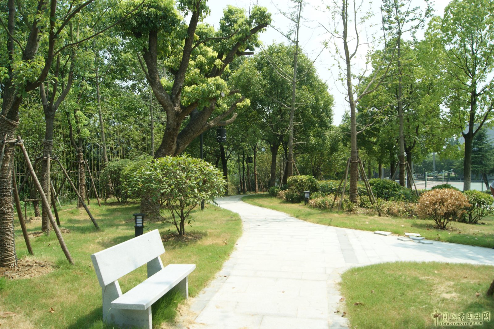 2016園冶杯參賽項目:安徽警官職業學院校園綠化工程