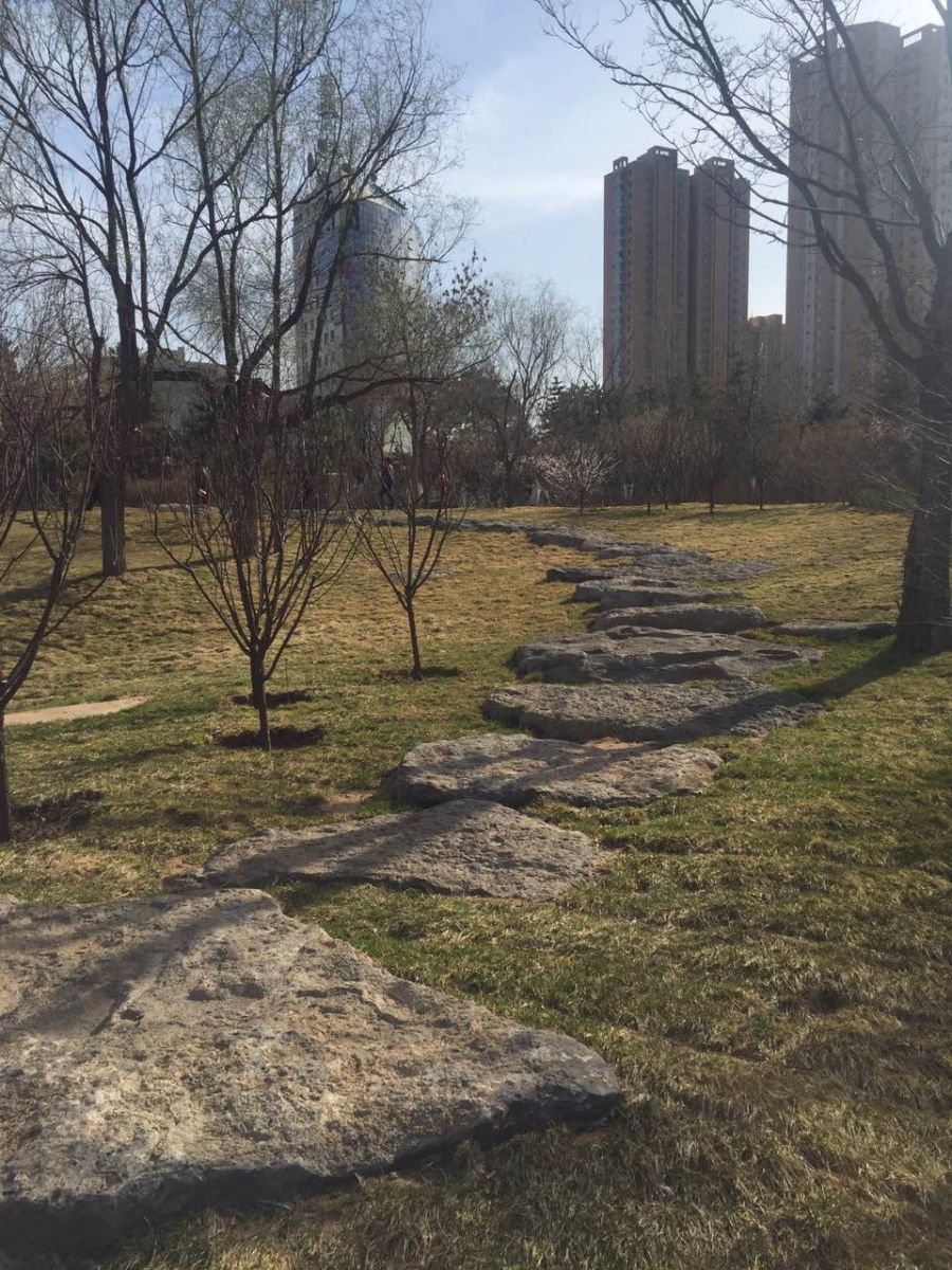 2016園冶杯專業獎參賽項目:大同市兒童公園改造項目