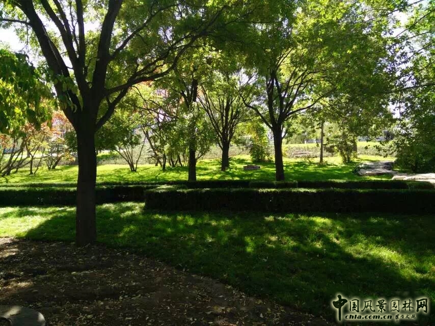 2016園冶杯專業獎參賽項目:大同市兒童公園改造項目