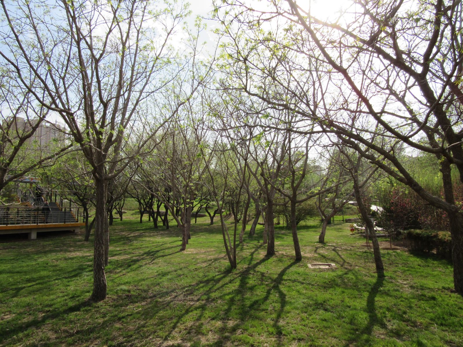 2016園冶杯專業獎參賽項目:大同市兒童公園改造項目