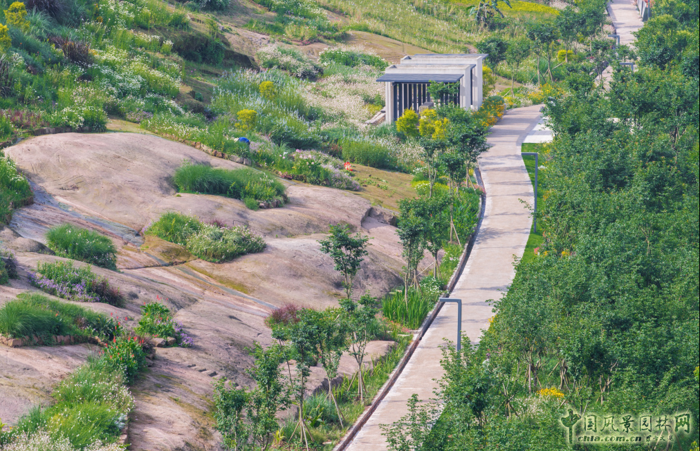 2016園冶杯專業(yè)獎參賽項目:金海灣公園