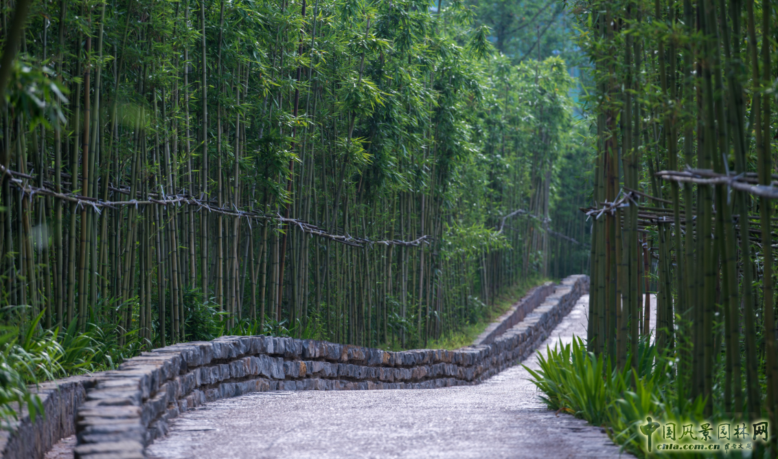 2016園冶杯專業獎參賽項目:金海灣公園
