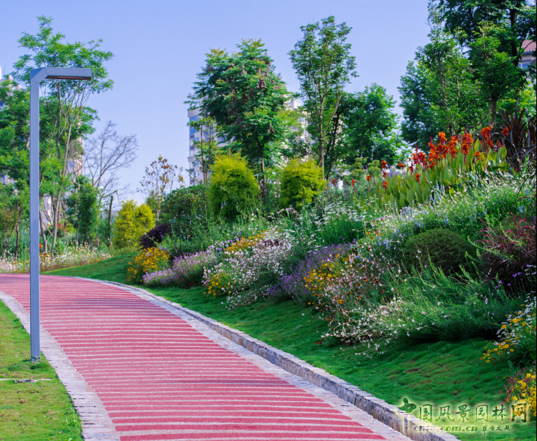 2016園冶杯專業獎參賽項目:金海灣公園