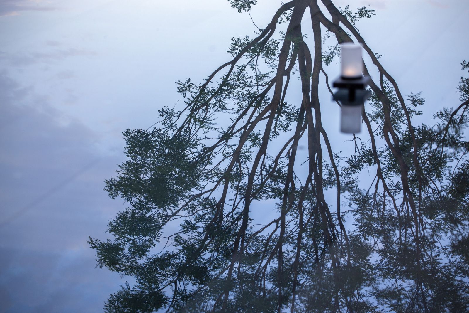 水野之地的造物夢想—中交·漫山