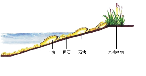 水野之地的造物夢想—中交·漫山