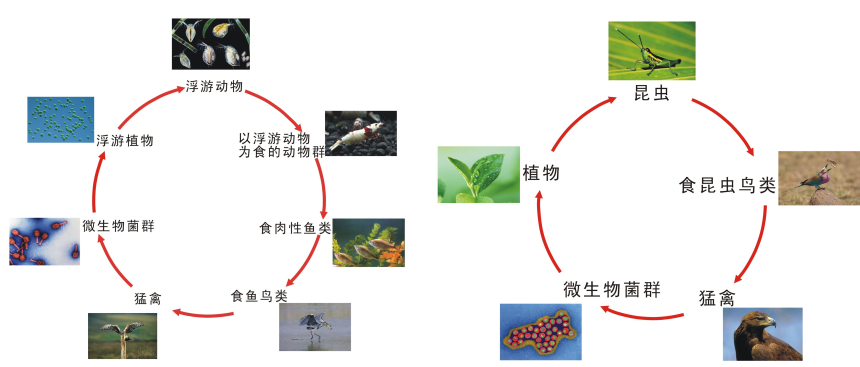 水野之地的造物夢想—中交·漫山