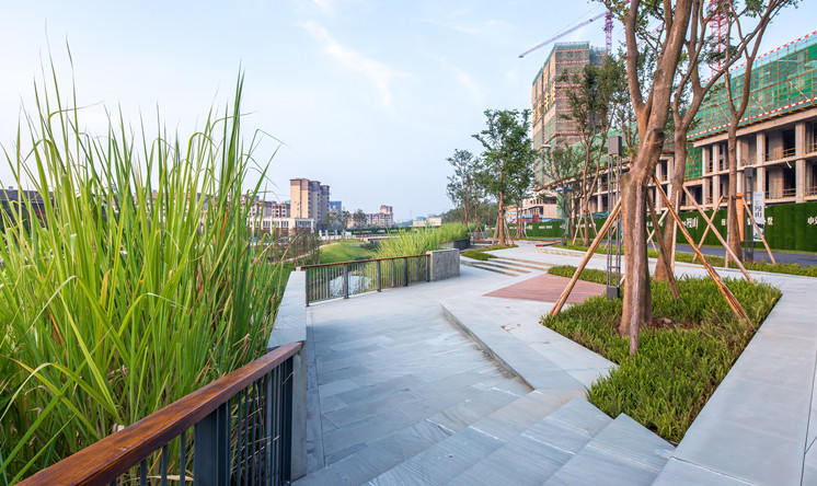 水野之地的造物夢(mèng)想—中交·漫山