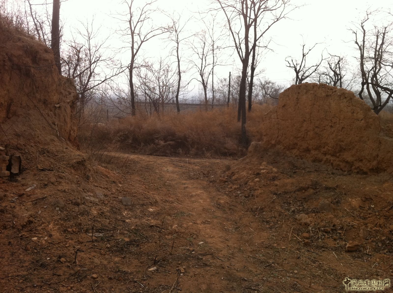 2016園冶杯參賽項目:絳縣黃土窯洞景觀改造