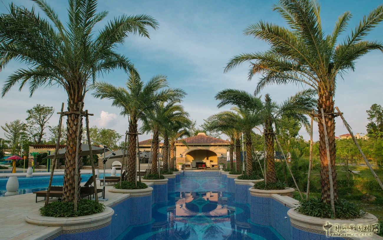 2016園冶杯專業(yè)獎參賽項目：保利 · 雲(yún)上