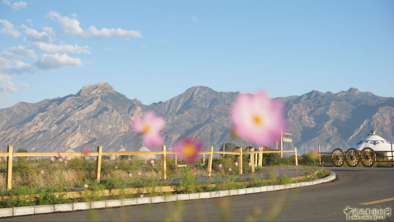 2016園冶杯項目:塔拉艾木格酒店及景觀設計方案