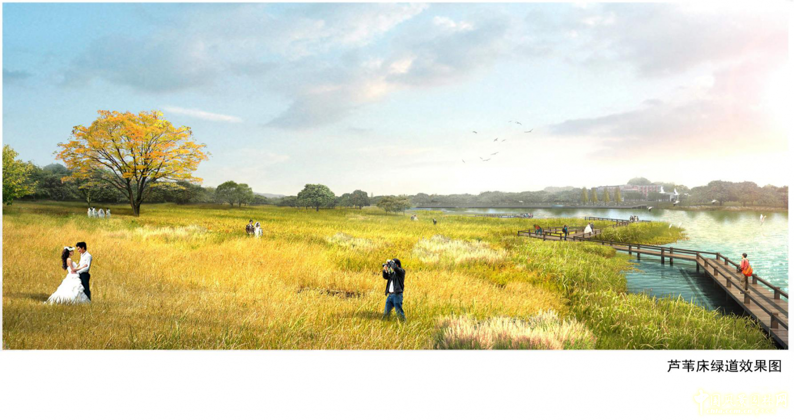 2016園冶杯:閩江北岸休閑生態公園景觀