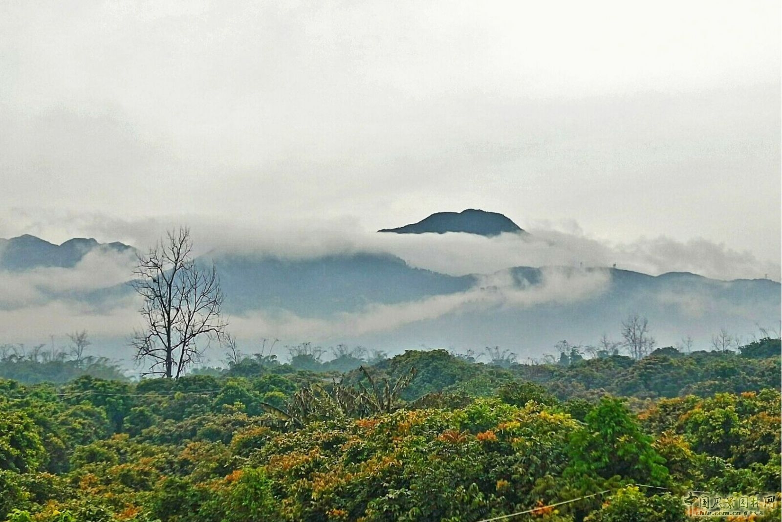 2016園冶杯：閩江北岸休閑生態公園景觀