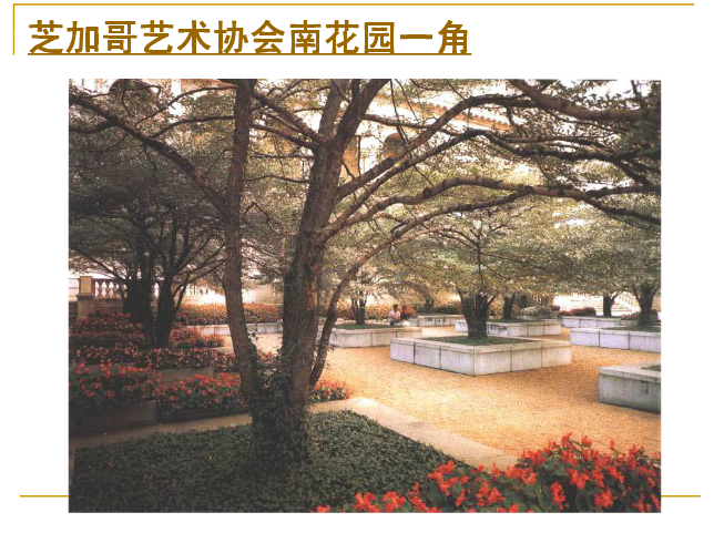 丹·克雷和米勒花園解析