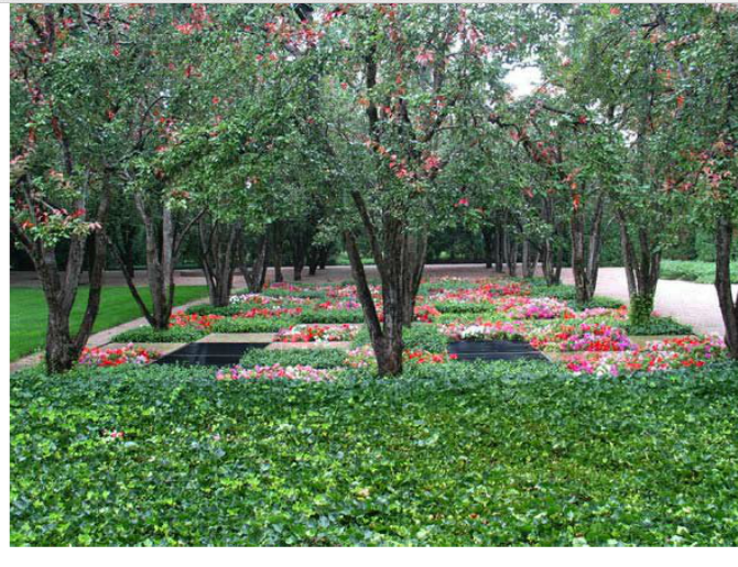 丹·克雷和米勒花園解析