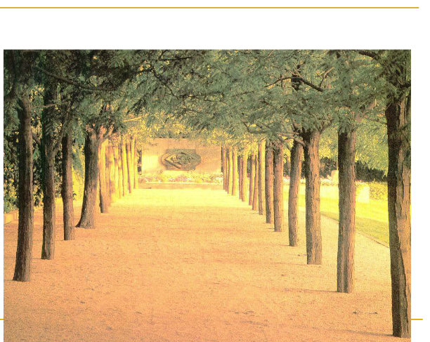 丹·克雷和米勒花園解析