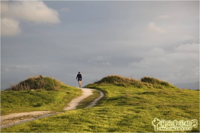 【園冶講壇】劉志成:風景園林設計的形式