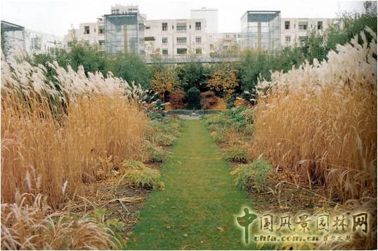 【園冶講壇】劉志成:風景園林設計的形式